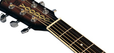 Fender T-Bucket 300CE Vince Ray Voodoo