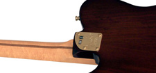 Fender Select Thinline Telecaster