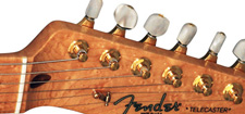 Fender Select Thinline Telecaster