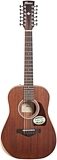 Ibanez AW5412JR Artwood Traditional Acoustic Guitar (with Gig Bag)